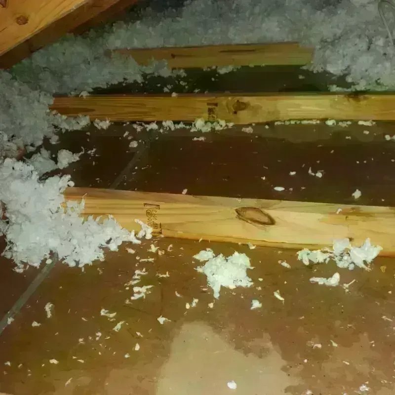 Attic Water Damage in Polk County, FL