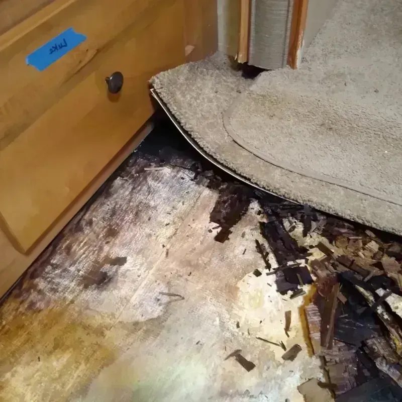 Best Wood Floor Water Damage Service in Polk County, FL